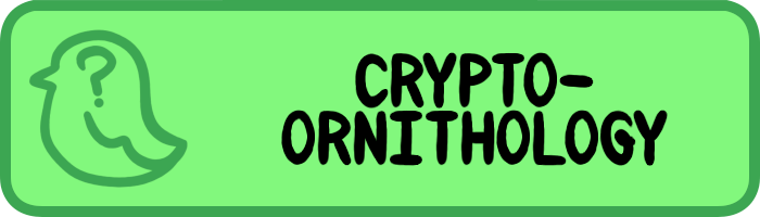 Cryptoornithology